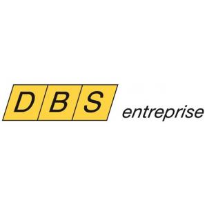 DBS ENTREPRISE DBS ENTREPRISE